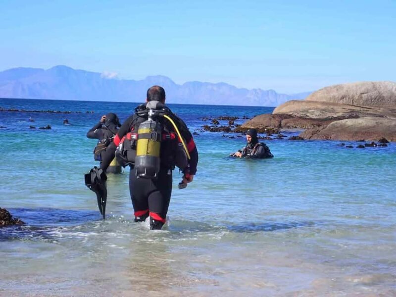 Cape Town: Discover Scuba Diving - 1 day experience - Discover Scuba Diving in Cape Town: An Authentic Underwater Adventure