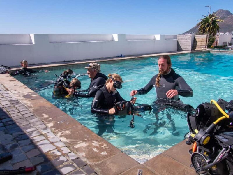 Cape Town: Discover Scuba Diving - 1 day experience - Key Points