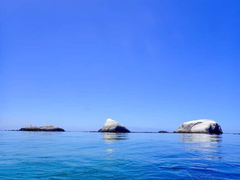 Cape Town: Discover Scuba Diving - 1 day experience - The Value of the Experience