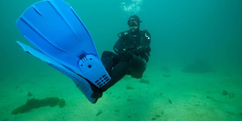Cape Town: Discover Scuba Diving - 1 day experience - The Authentic Touch from Past Participants