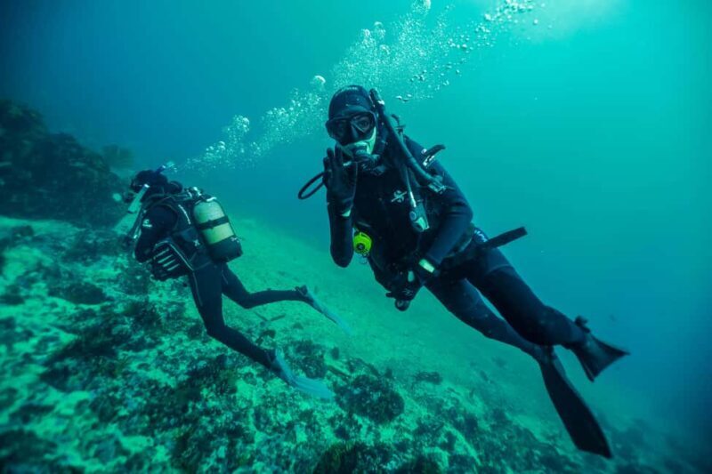 Cape Town: Discover Scuba Diving - 1 day experience - Who Should Consider This Experience?