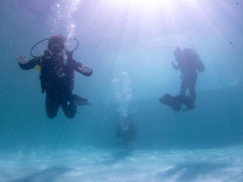 Cape Town: Discover Scuba Diving - 1 day experience - FAQs