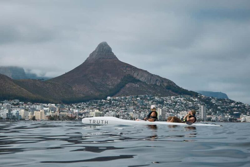 Cape Town: Dolphin & Ocean Wildlife Kayaking Adventure - An Inside Look at the kayaking adventure