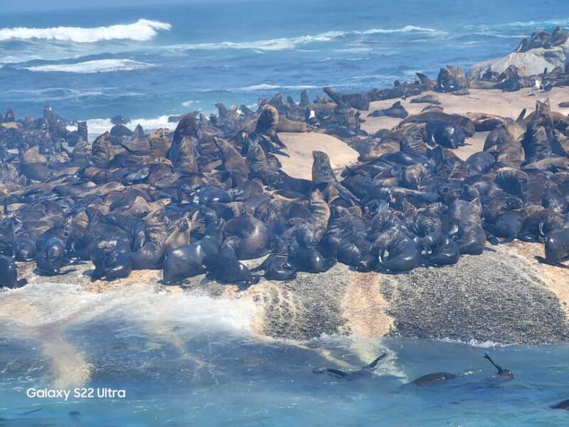 Cape Town: Experience the six wonders of Cape Town in 3 days - Is This Tour Right for You?