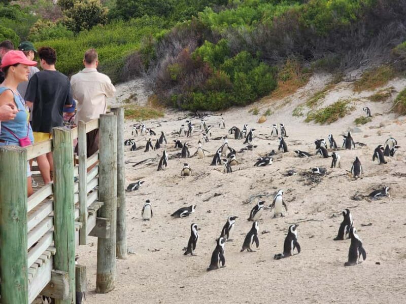 Cape Town: Experience the six wonders of Cape Town in 3 days - Frequently Asked Questions