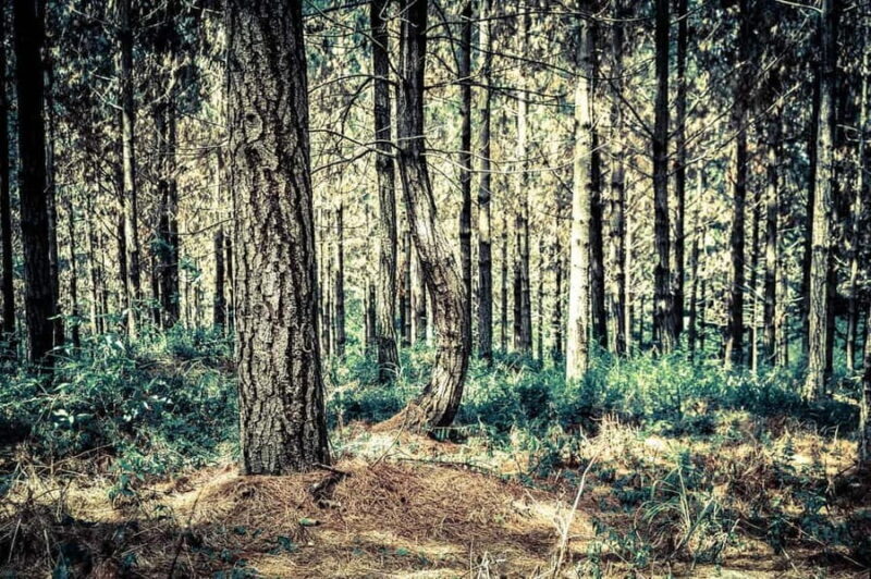 Cape Town: Exploring the wonders of the Mother City - Who Will Love This Tour?