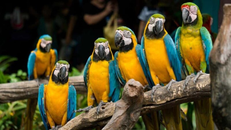 Cape Town for Children: Family Tour - Key Points