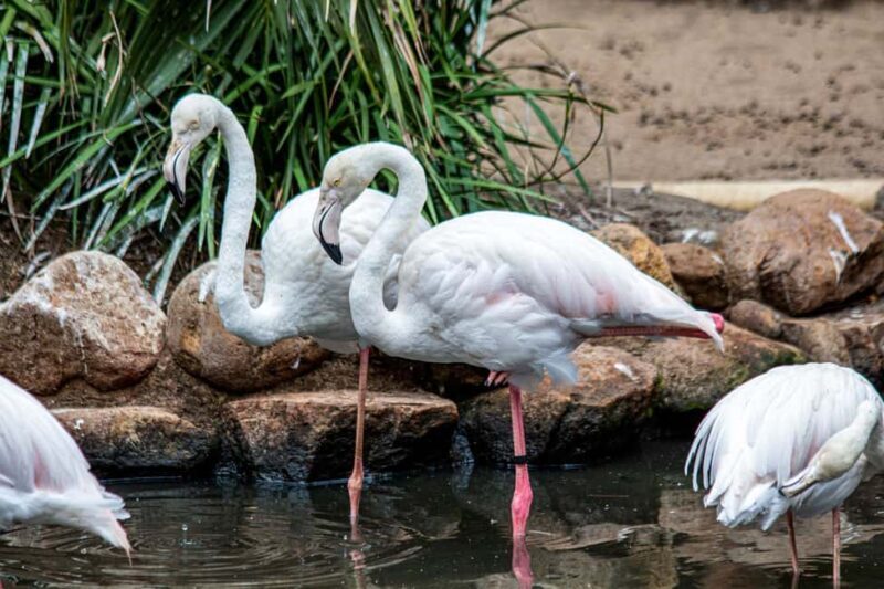 Cape Town for Children: Family Tour - A Detailed Look at the Cape Town Family Tour