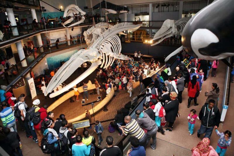 Cape Town for Children: Family Tour - The Sum Up
