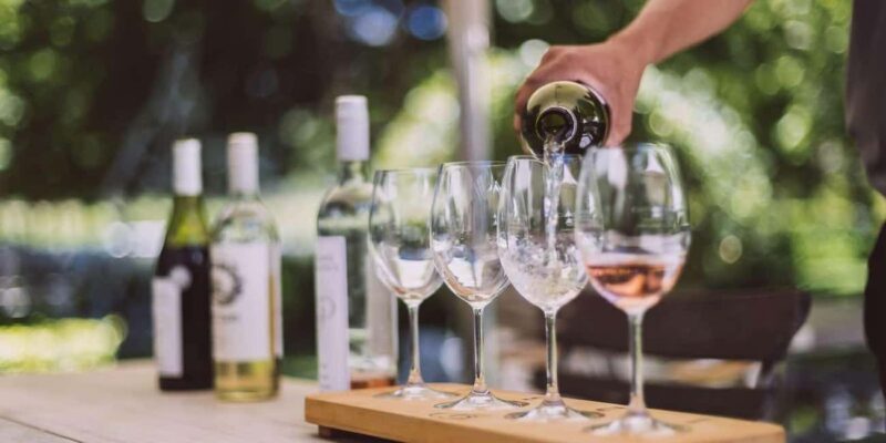 Cape Town: Franschhoek and Wine Tram Tour - Who Would Love This Tour?