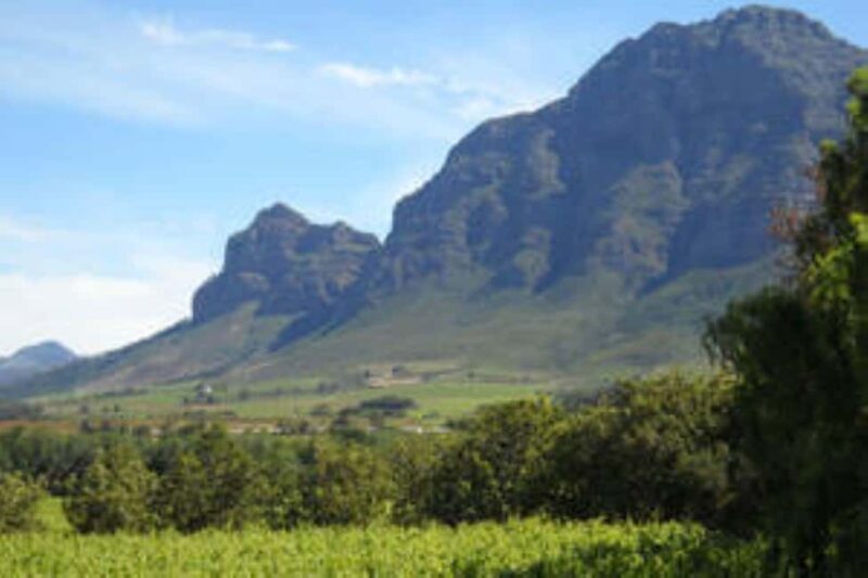 Cape Town: Franschhoek Private Wine Tour - Key Points