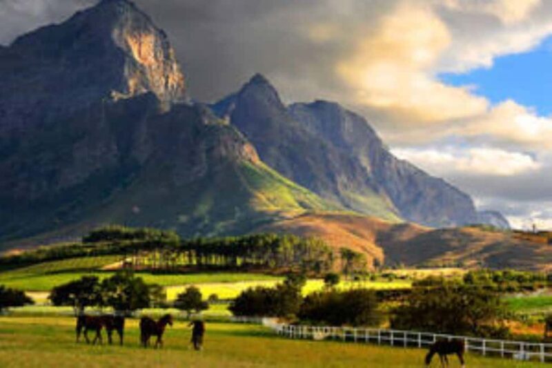 Cape Town: Franschhoek Private Wine Tour - What to Expect from the Tour