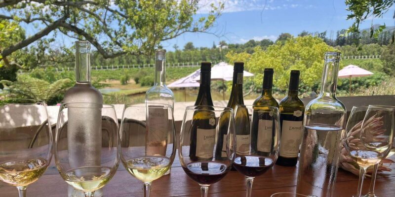 Cape Town: Franschhoek Wine Tram Hop-On Hop-Off Tour - Exploring the Franschhoek Wine Tram Experience