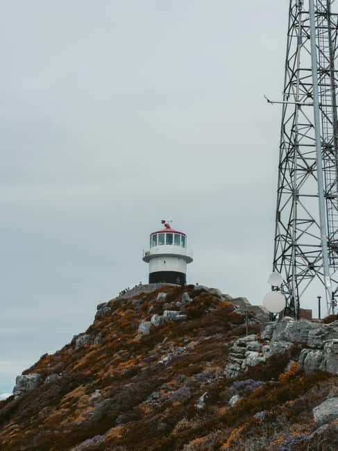 Cape Town: Full-Day Cape of Good Hope and Boulders Tour - First Impressions: What to Expect from This Tour