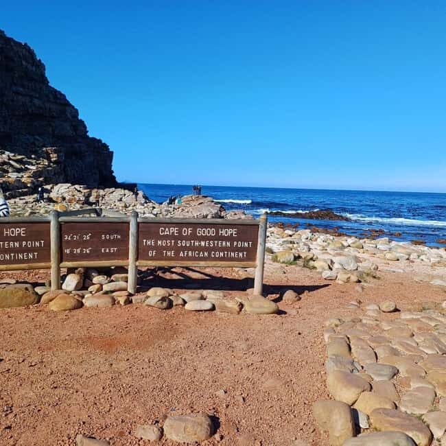 Cape Town: Full Day Cape of Good Hope with Penguins Tour - A Closer Look at the Tour Experience