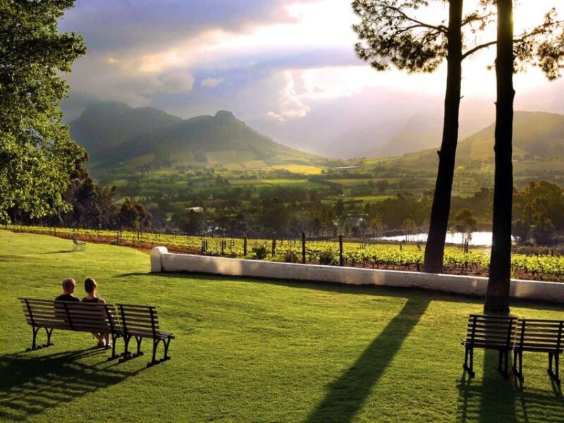 Cape Town: Full-Day Cape Peninsula Tour with Transfers - Key Points