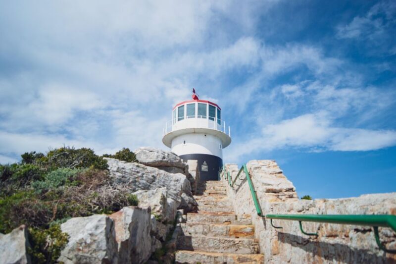 Cape Town: Full-Day Private Peninsula Tour - An In-Depth Look at the Tour