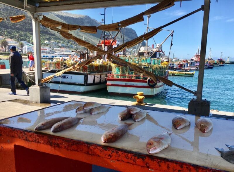 Cape Town: Full-Day Private Tour with Cape Point & Penguins - A Complete Look at the Cape Town: Full-Day Private Tour with Cape Point & Penguins