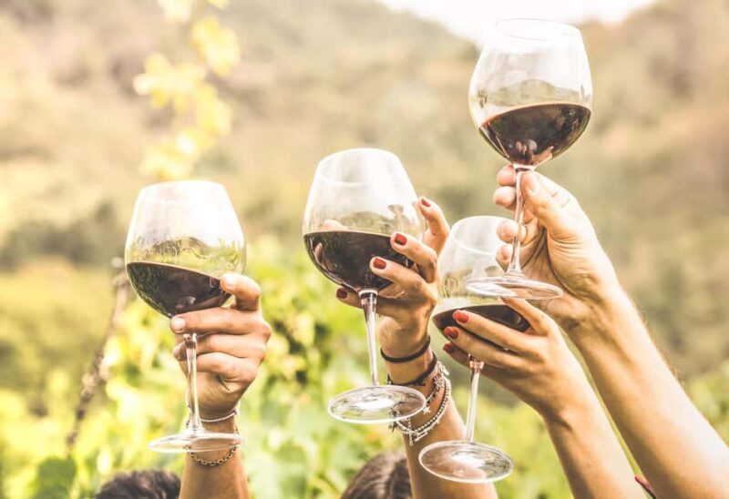Cape Town: Full-Day Wine Tasting Tour with Wine Tram - Final Thoughts