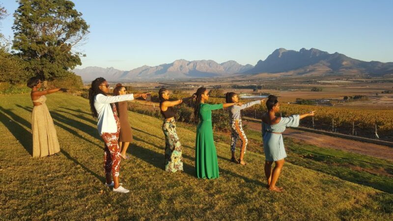 Cape Town: Full-Day Winelands Tour with Wine Tastings & Food - Transportation and Comfort