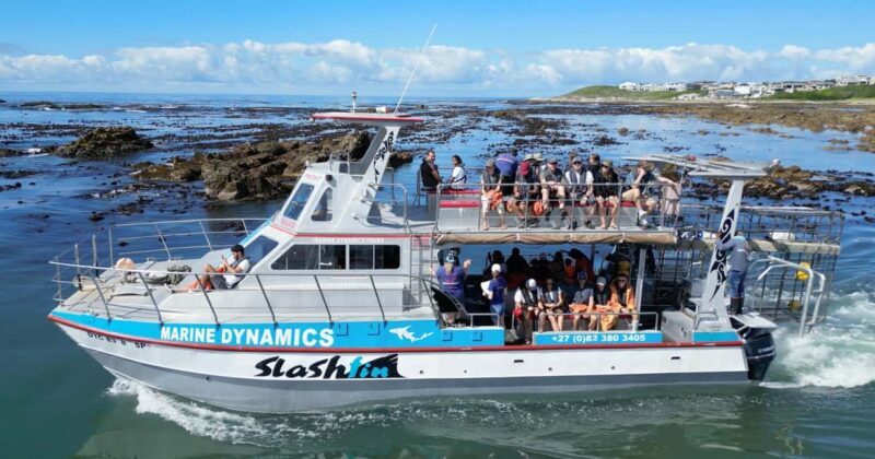 Cape Town: Gansbaai Eco-Friendly Shark Cage Diving Cruise - Key Points