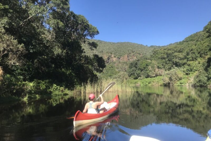 Cape Town: Garden Route and Addo Elephant Park 6-Day Safari - Key Points