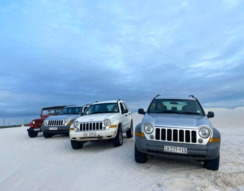 CAPE TOWN: GLAM SANDBOARDING IN ATLANTIS DUNES WITH WILDX - Key Points