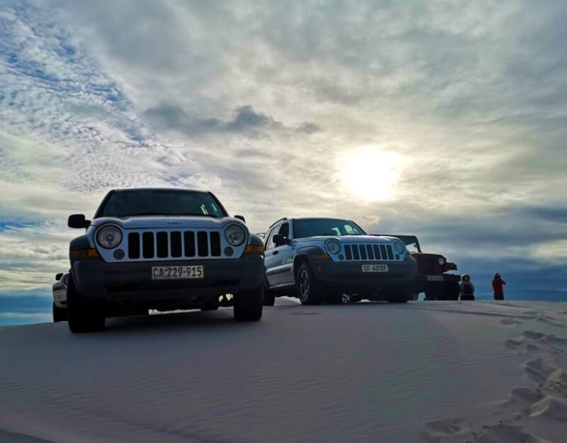 CAPE TOWN: GLAM SANDBOARDING IN ATLANTIS DUNES WITH WILDX - Pricing and Value