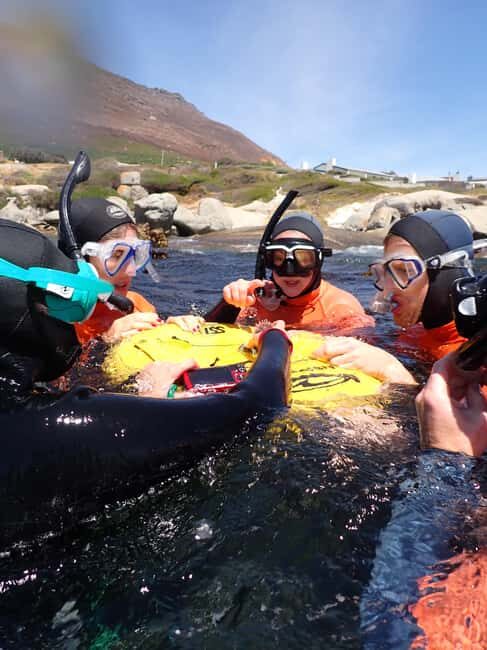 Cape Town: Great African Sea Forest Guided Snorkel - An In-Depth Look at the Experience
