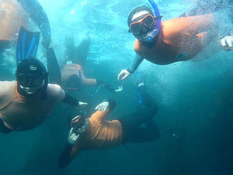 Cape Town: Great African Sea Forest Guided Snorkel - Who Is This Tour Best Suited For?