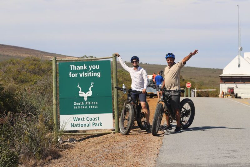 Cape Town: Guided e-Bike Safari Tour - Key Points