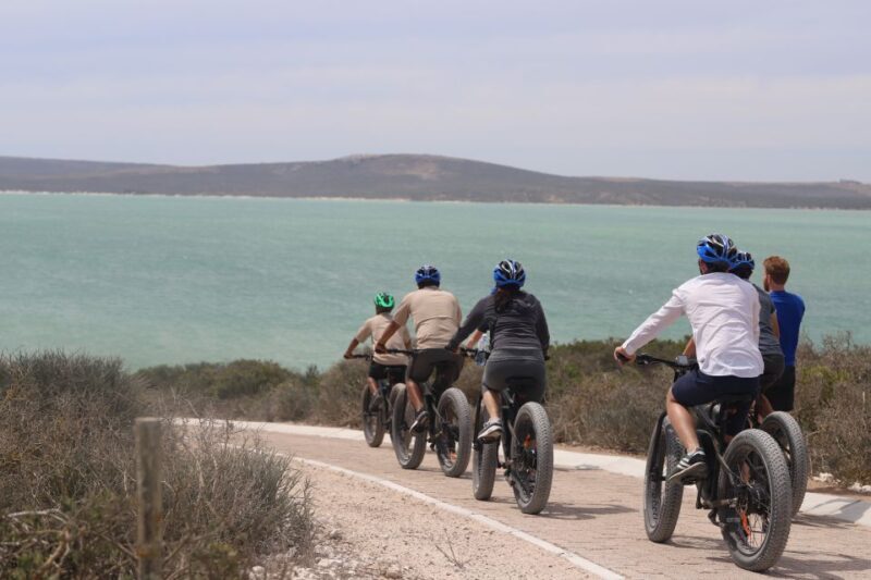 Cape Town: Guided e-Bike Safari Tour - The Sum Up