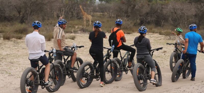Cape Town: Guided e-Bike Safari Tour - FAQs