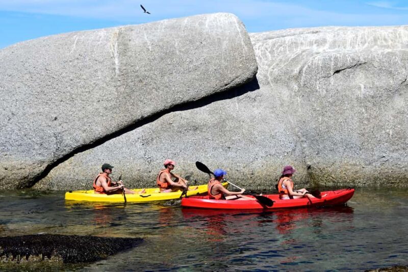 Cape Town: Guided Kayak Tour of Clifton Beaches & The Coast - FAQ