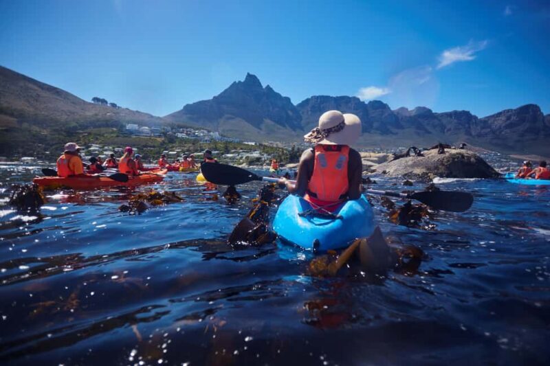 Cape Town: Guided Kayak Tour of Clifton Beaches & The Coast - The Sum Up