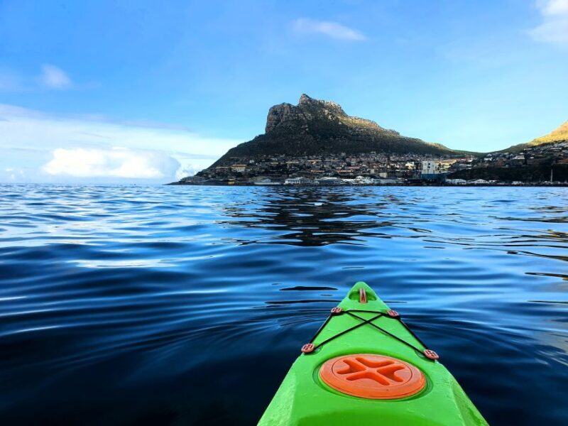 Cape Town: Guided Kayaking in Hout Bay - The Experience Itself: Why It’s Special