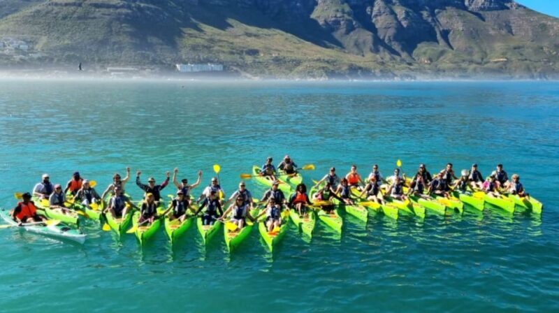 Cape Town: Guided Kayaking in Hout Bay - Who Will Love This Tour?