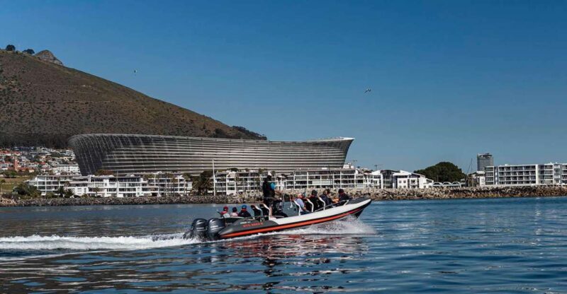 Cape Town: Guided Marine Wildlife Cruise and Cape Point Tour - Who Would Love This Tour?  