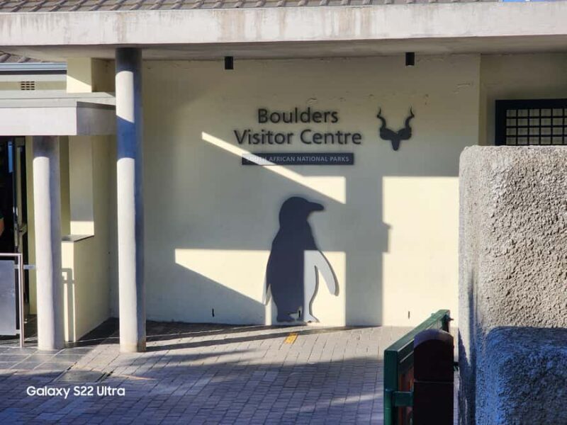 Cape Town: Half-Day Cape Peninsula Tour with Penguin private - The Fine Details of the Tour Experience