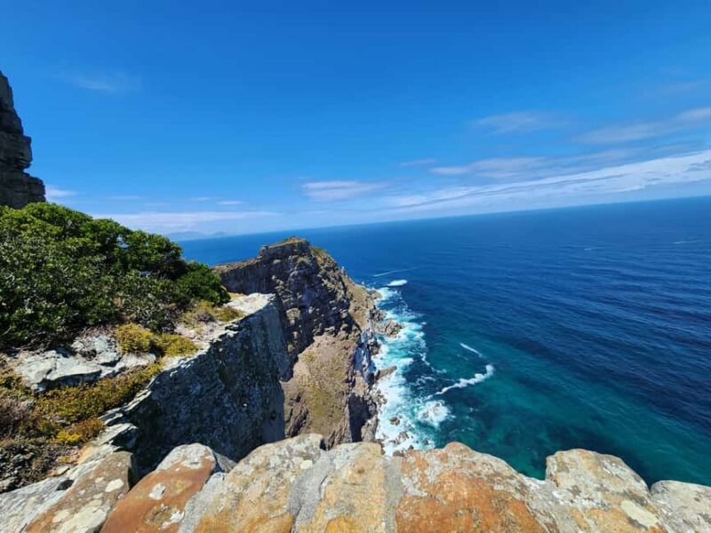 Cape Town: Half-Day Cape Peninsula Tour with Penguin private - What Reviewers Say