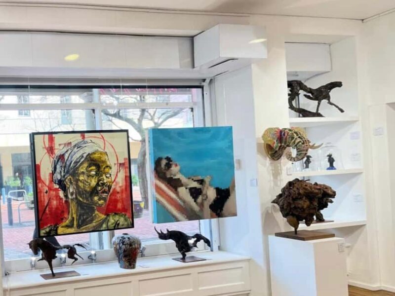 Cape Town: Half Day Cape Town Local Art Experience - Key Points