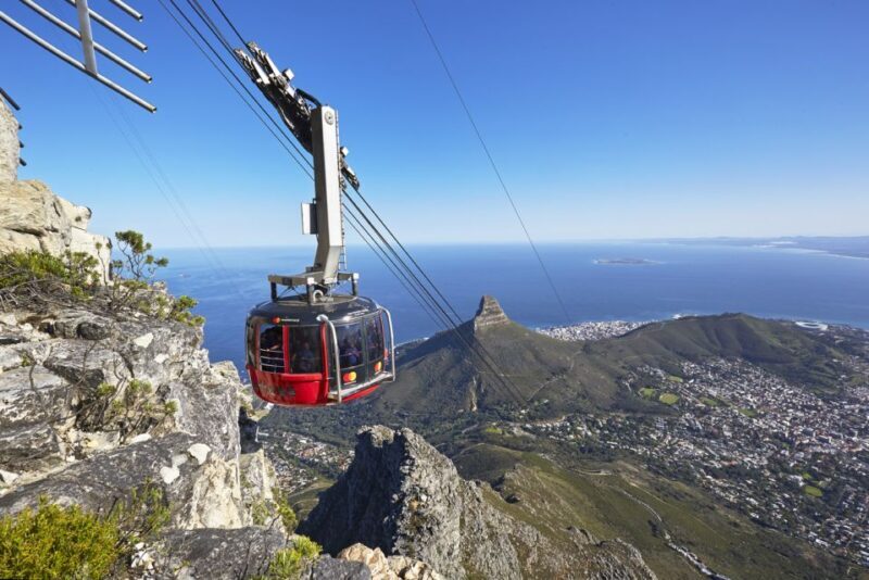 Cape Town: Half-Day City Tour - Key Points