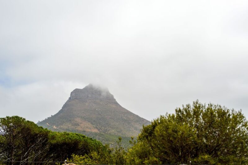 Cape Town: Half-Day City Tour - A Detailed Look at the Cape Town Half-Day City Tour