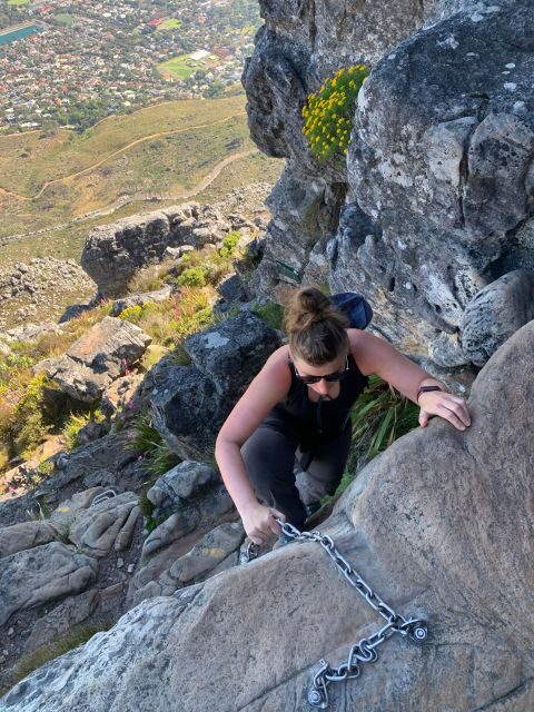 Cape Town: Half-Day India Venster Hike on Table Mountain - What to Expect from the India Venster Hike
