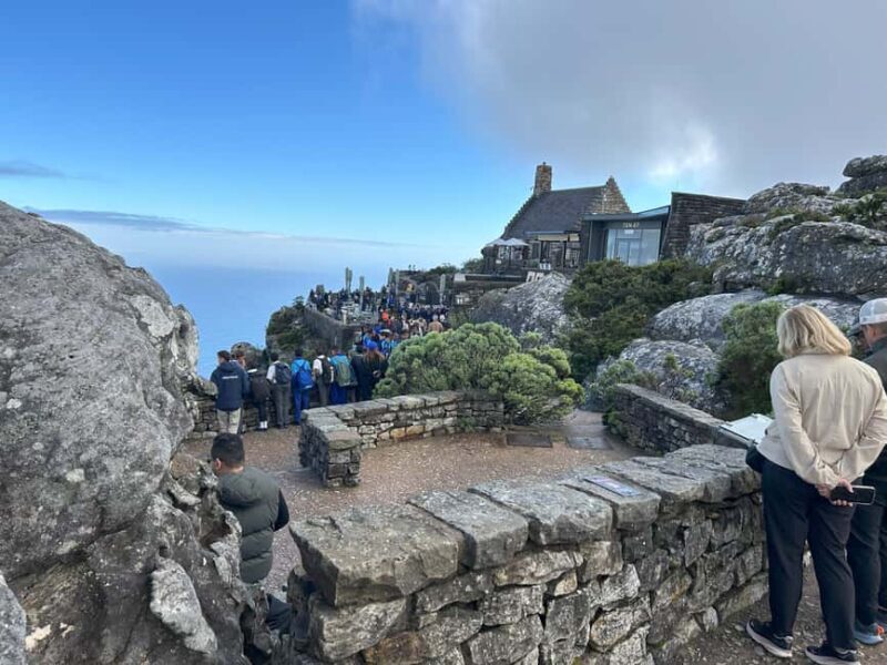 Cape Town: Half Day Table Mountain & Kirstenbosch Gardens - The Sum Up