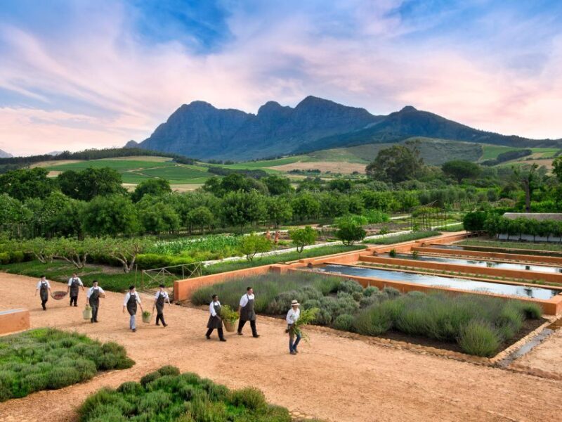 Cape Town: Half-Day Wineries and Tastings Small Group Tour - An Introduction to the tour: What you can expect