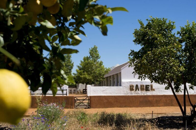 Cape Town: Half-Day Wineries and Tastings Small Group Tour - Final Thoughts: Is this tour worth it?