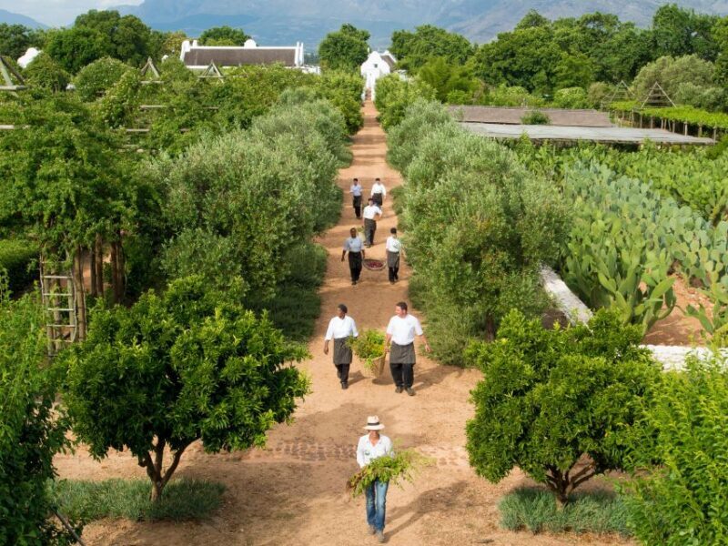 Cape Town: Half-Day Wineries and Tastings Small Group Tour - FAQ