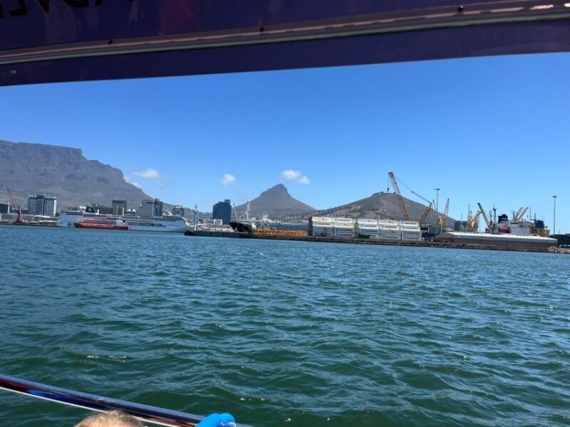 Cape Town: Harbor Cruise - An Authentic Look at the Cape Town Harbor Cruise