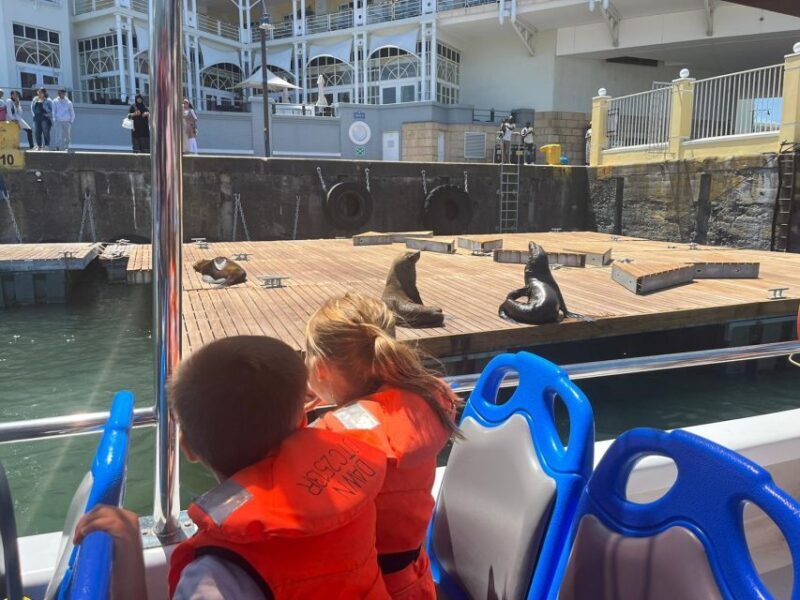 Cape Town: Harbor Cruise - What to Expect on the Harbour Cruise